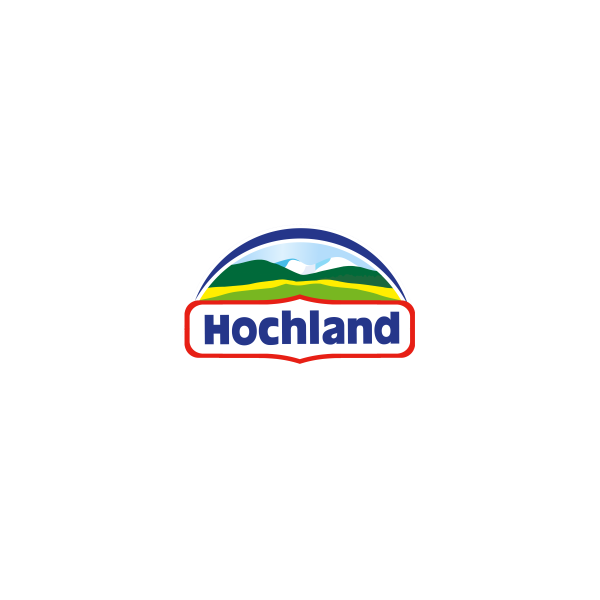 Сыр Hochland творожный с ветчиной и зеленью 60%