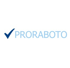 proraboto.com
