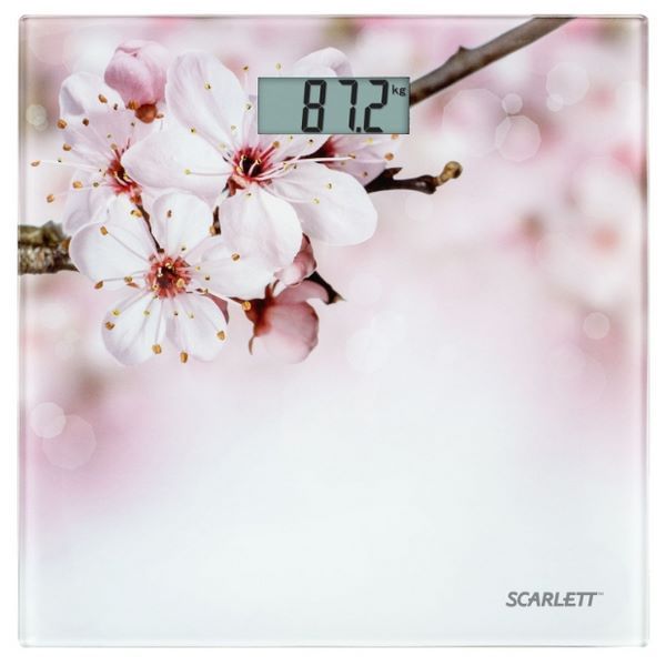 Scarlett SC-BS33E053