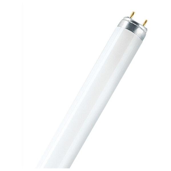 Лампа люминесцентная OSRAM Basic 765, G13, T8, 58Вт