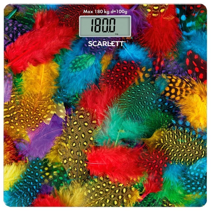 Scarlett SC-BS33E033