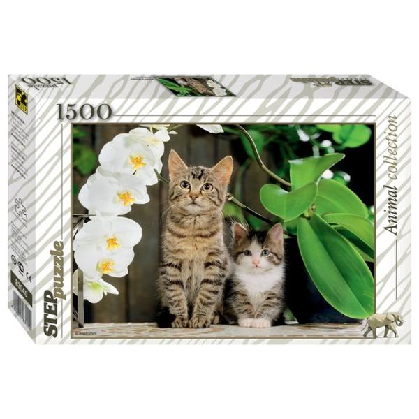 Пазл Step puzzle Animal Collection Котята и орхидея (83040), 1500 дет.