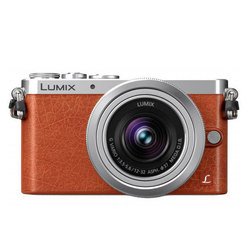 Panasonic Lumix DMC-GM1 Kit (оранжевый)