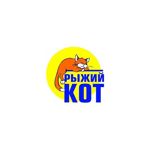 Настольная игра Рыжий кот У Лукоморья ИН-7163