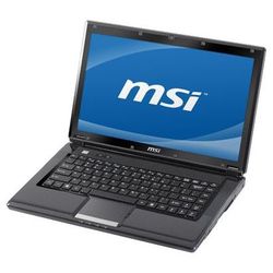 MSI EX465 (Core 2 Duo T6600 2200 Mhz/14"/1366x768/3072Mb/320Gb/DVD-RW/Wi-Fi/Bluetooth/Win 7 HB)