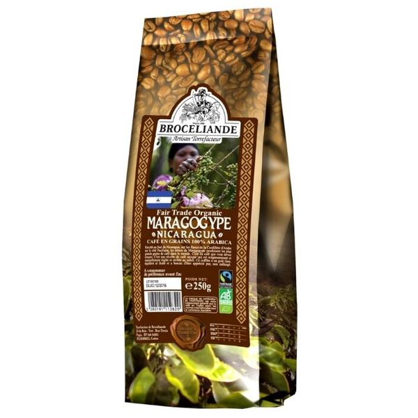 Кофе в зернах Broceliande Maragogype Никарагуа