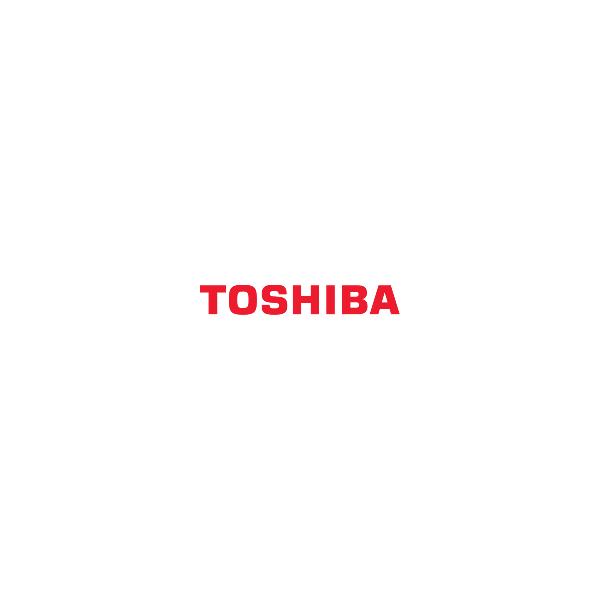 TV-тюнер Toshiba PX1256E-1TVH