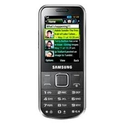 Samsung C3530 (серебристый)