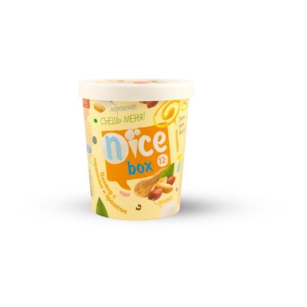 Мороженое Nice пломбир с карамелью и дробленым арахисом, 450 г