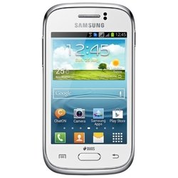 Samsung Galaxy Young S6312 (белый)