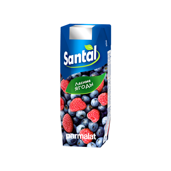 Напиток сокосодержащий Santal Лесные ягоды
