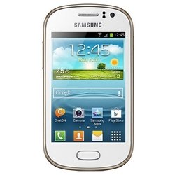Samsung Galaxy Fame S6810 (белый)