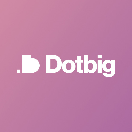DotBig LTD Онлайн Брокер