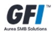 GFI Software