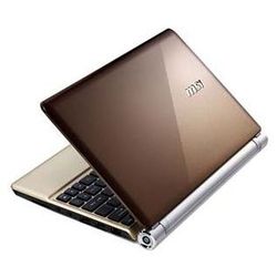 MSI Wind U160 (Atom N450 1660 Mhz/10.0"/1024x600/1024Mb/250Gb/DVD нет/Wi-Fi/Win 7 Starter)