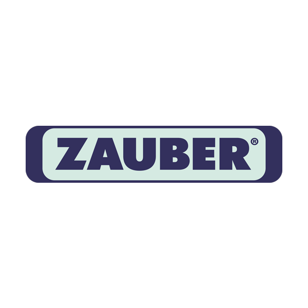 Парогенератор Zauber ECO-250