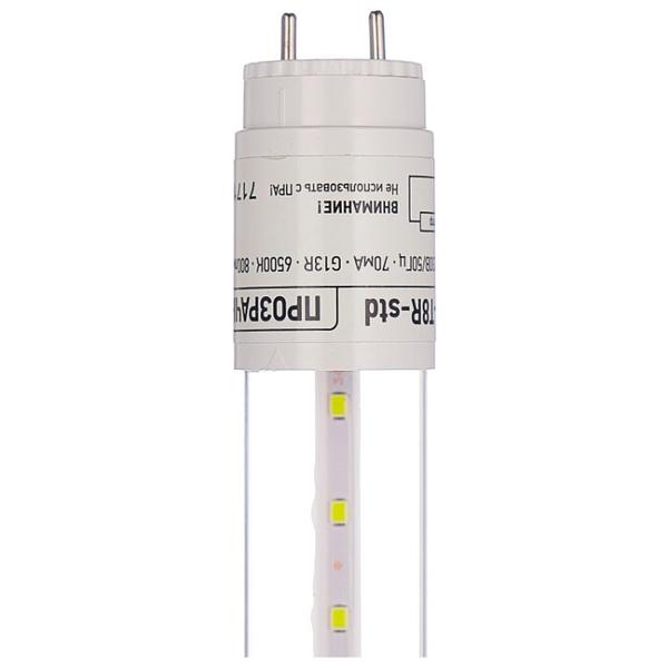 Лампа светодиодная ASD LED-STD 6500К, G13, T8, 10Вт