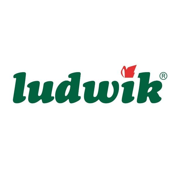 Средство для обезжиривания поверхностей экзотические фрукты LUDWIK