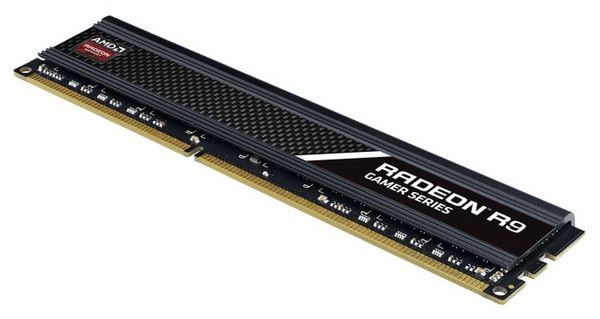 AMD R938G2130U2S