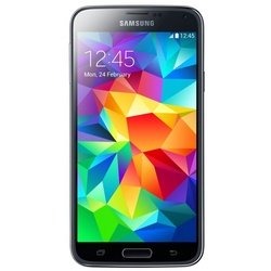 Samsung Galaxy S5 16Gb LTE + задняя крышка Swarovski Mystic Black (черный)
