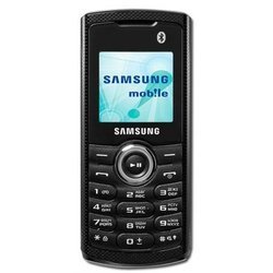 Samsung E2121 (черный)