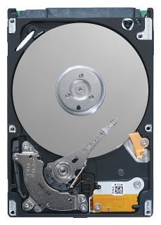 Seagate ST9160827AS