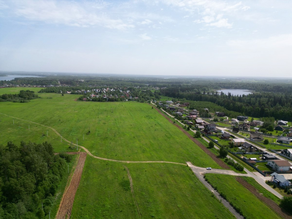 Лисичкин бор