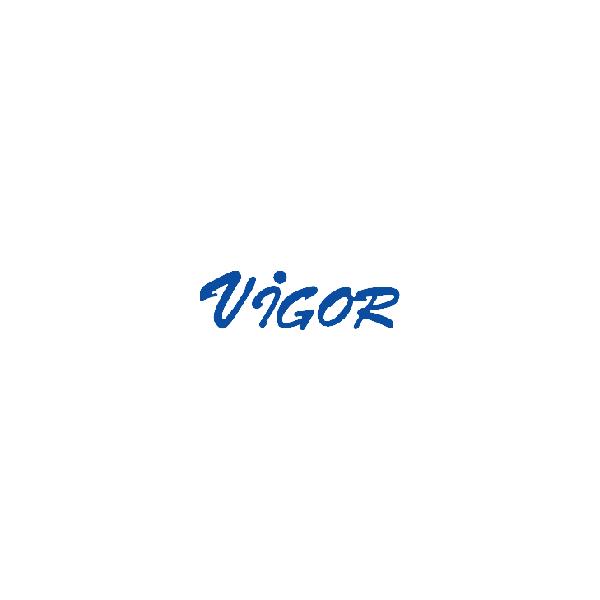 Соковыжималка VIGOR HX 3220