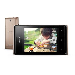 Sony Xperia E dual C1605 (черно-золотистый)