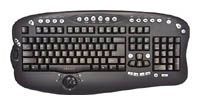 Oklick 770 L Multimedia Keyboard Black PS/2