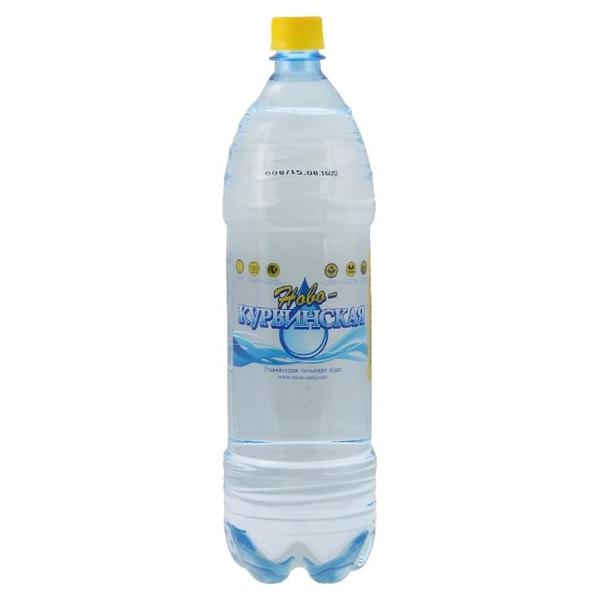 Вода питьевая Новокурьинская Премиум негазированная, ПЭТ