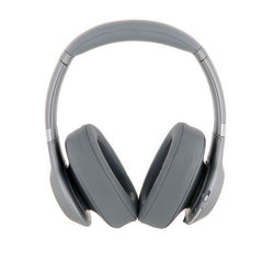 JBL Everest 710 (серебристый)