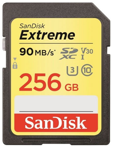 SanDisk Extreme SDXC UHS Class 3 V30 90MB/s