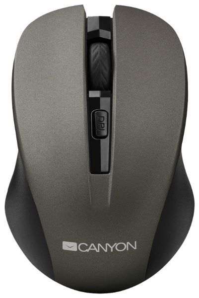 Canyon CNE-CMSW1G Grey USB
