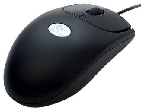 Logitech RX250 Optical Mouse Black USB