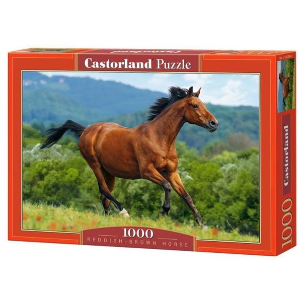 Пазл Castorland Reddish-Brown Horse (C-102396), 1000 дет.