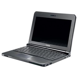 Toshiba NB200-12J (Atom N270 1600 Mhz/10.1"/1024x600/1024Mb/160.0Gb/DVD нет/Wi-Fi/Bluetooth/WinXP Home)