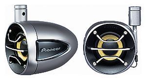 Pioneer TS-SW3002S4