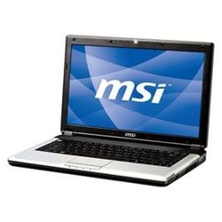 MSI EX460 (Core 2 Duo T6600 2200 Mhz/14"/1366x768/4096Mb/320Gb/DVD-RW/Wi-Fi/Bluetooth/DOS)