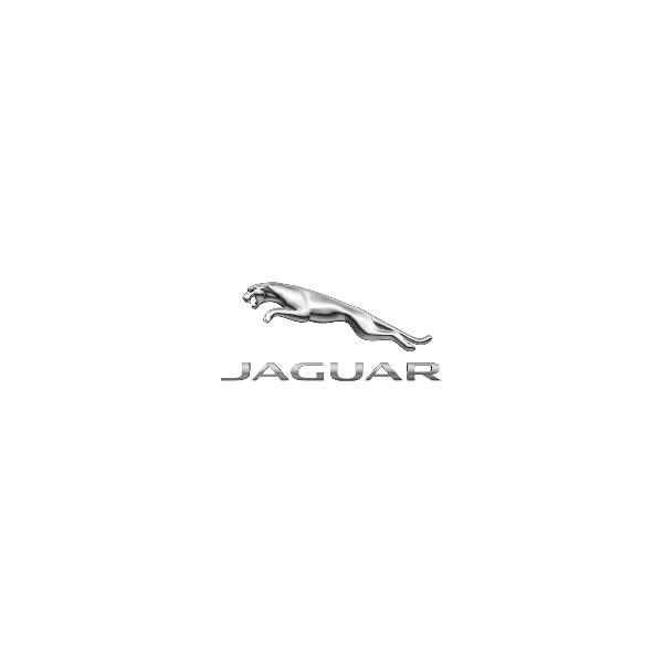 Туалетная вода Jaguar Vision