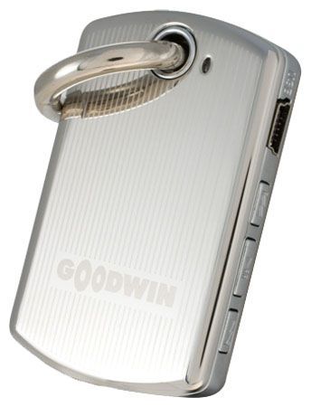 Goodwin МР-201
