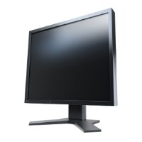 Eizo FlexScan S1933