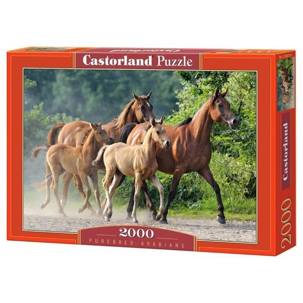 Пазл Castorland Purebread Arabians (C-200313), 2000 дет.