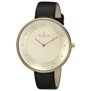 SKAGEN SKW2262