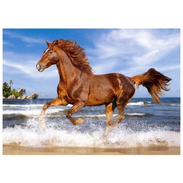 Пазл Castorland Horse on the Beach (В-51175), 500 дет.