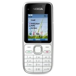 Nokia C2-01 (серебристый)