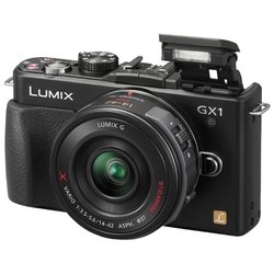 Panasonic Lumix DMC-GX1KEE (black 16Mpix 14-42 3 1080p SDHC 3D Li-Ion, Комплект с объективом)