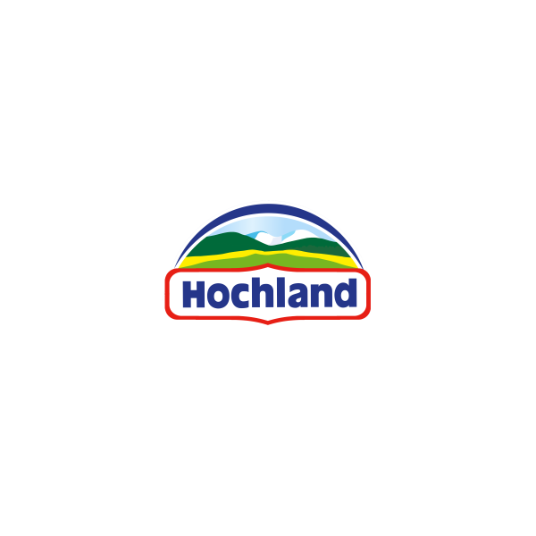 Сыр Hochland плавленый для горячих блюд с окороком и паприкой 8 ломтиков 45%