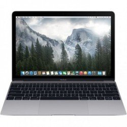 Apple MacBook Early 2015 (Core M 1100 Mhz/12.0"/2304x1440/8.0Gb/256Gb SSD/DVD нет/Intel HD Graphics 5300/Wi-Fi/Bluetooth/MacOS X) (MJY32RU/A) (серый космос)