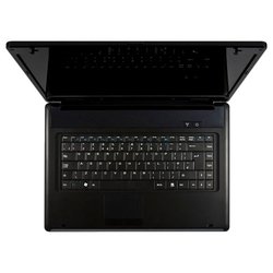 GIGABYTE E1500 (Pentium T4500 2300 Mhz/15.6"/1366x768/2048Mb/320Gb/DVD-RW/Wi-Fi/Win 7 Starter)